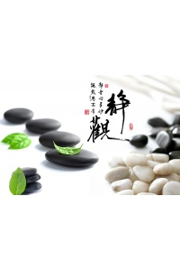 Tranh gạch 3D hoa H170