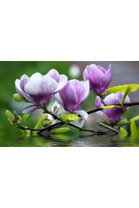tranh gạch 3d phong thủy 9041