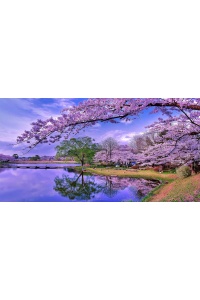 Tranh gạch 3D phong thủy  9057