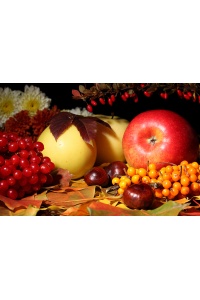 Tranh điểm phòng bếp 64