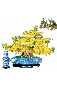 Tranh gạch 3D cây mai vàng 20