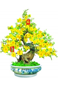 Tranh gạch 3D cây mai vàng 05