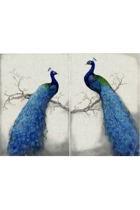 Tranh gạch 3D con công ngang cc9